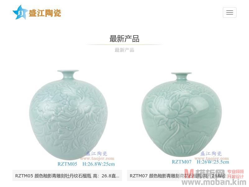 景德镇盛江陶瓷有限公司